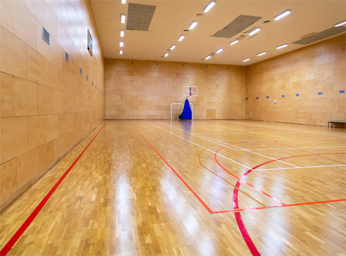 Professional Basketball Arenas