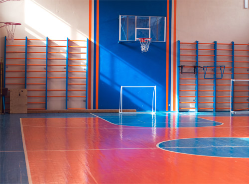 School and University