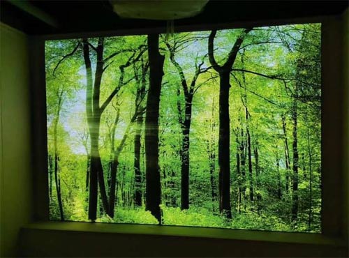 Art Galleries and Museums